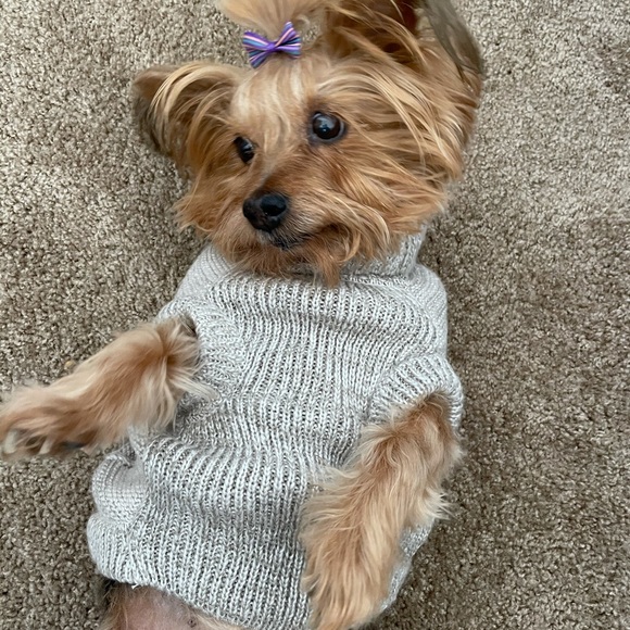 Top Paw Other - Hostess Pic 🥳Top Paw Grey Flower sweater Sz. L